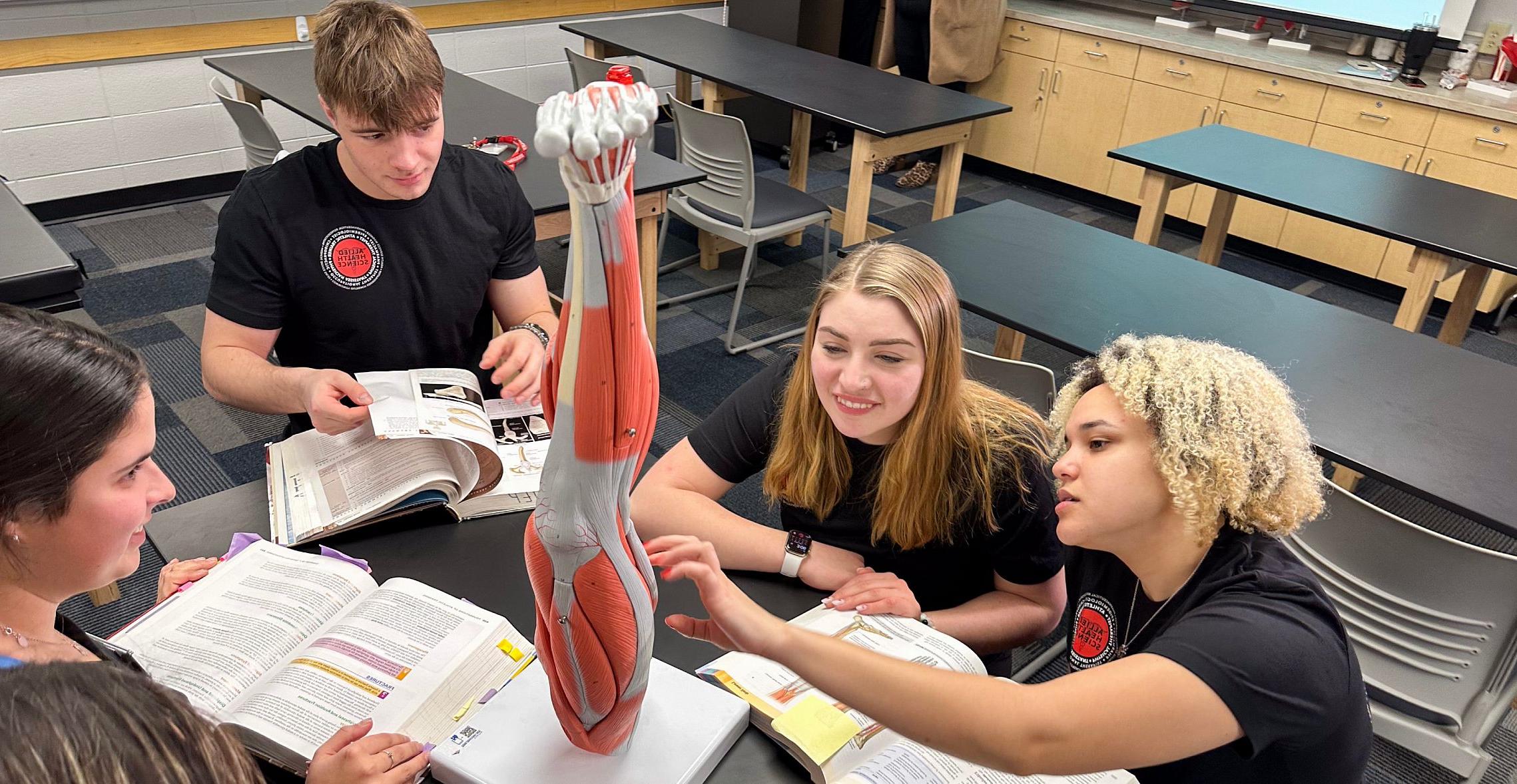 Allied health student majors working in a Carthage College classroom.